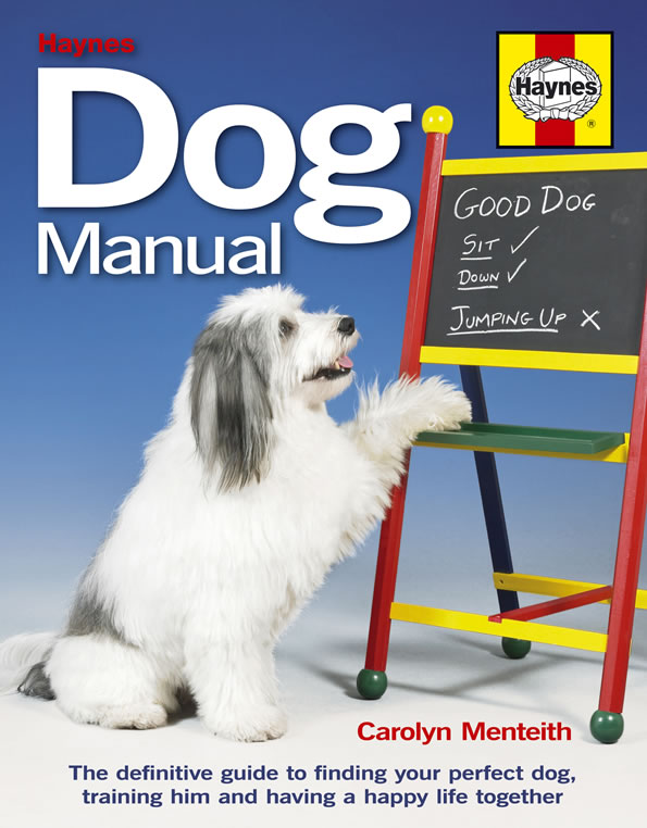 Dog Manual